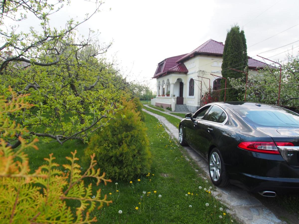 Argeselu Garden Villa - Entire Floor Apartment, Exclusive Garden Access Maracineni Exterior photo