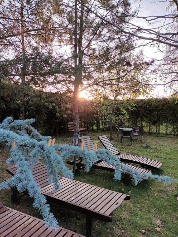 Argeselu Garden Villa - Entire Floor Apartment, Exclusive Garden Access Maracineni Exterior photo