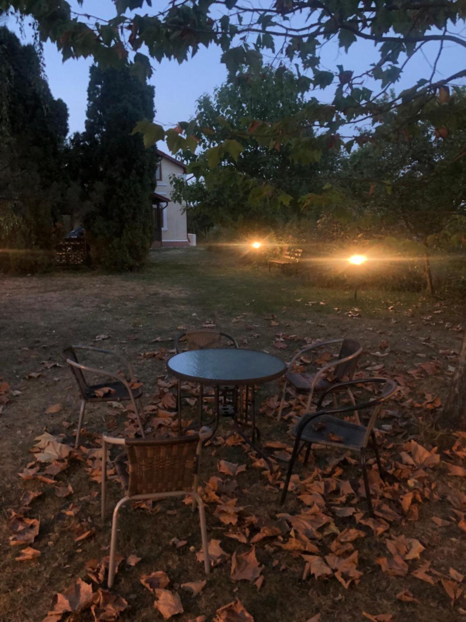 Argeselu Garden Villa - Entire Floor Apartment, Exclusive Garden Access Maracineni Exterior photo